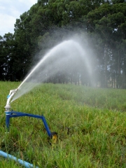 Irrigação de pastagens