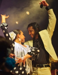 Estudio aire flamenco 2013