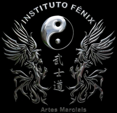 Instituto fênix artes marciais e yoga - foto 14