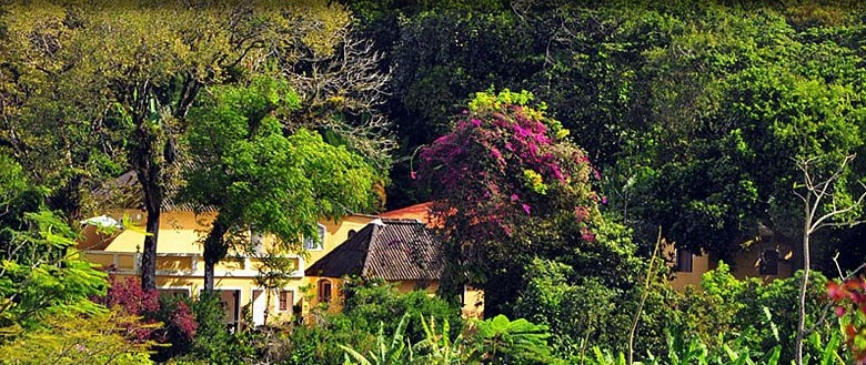 Cedros Pousada