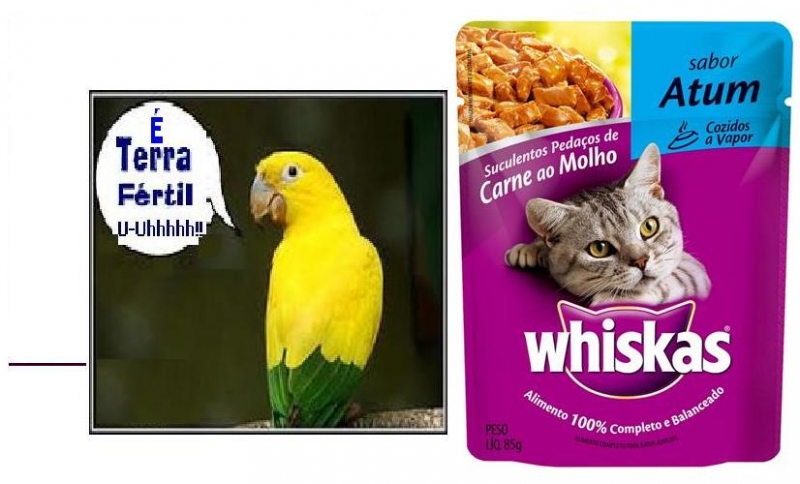 Whiskas no Terra Frtil