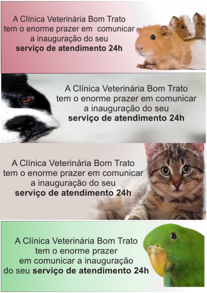 Clínica 24 horas para cães, gatos e exóticos pets!