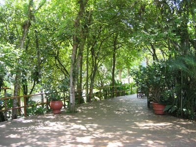 Lindo Jardim