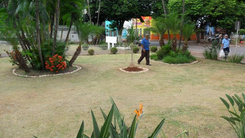 manutenao do jardin da camara municipal