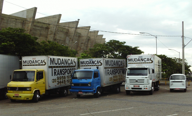 Mudanças Transvandinho BH