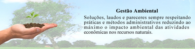 Gestao Ambiental - Gestao Meio Ambiente