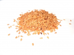 A linhaa  a semente do linho, um alimento funcional com propriedade antioxidante e anticancergenas.