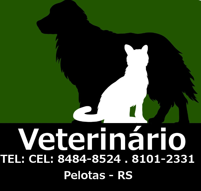 cães e gatos medico veterinario
