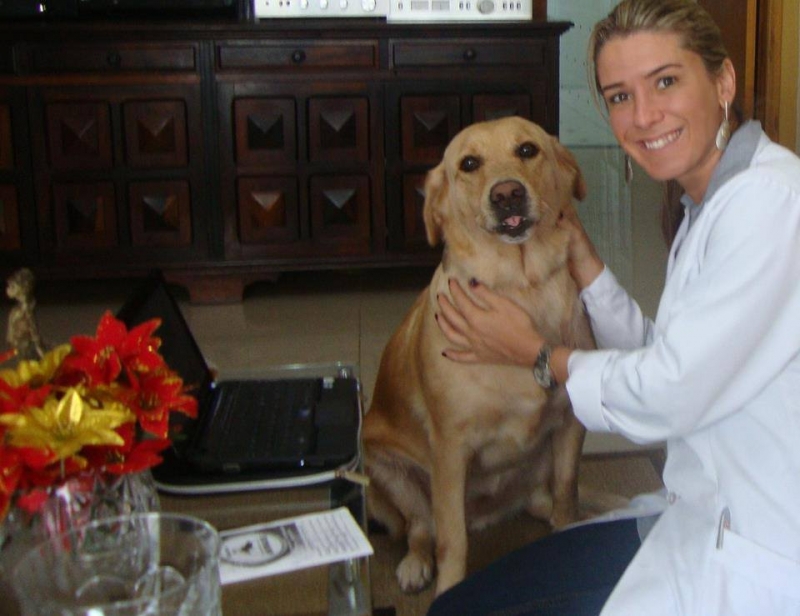 Dra. Michelle Gandra, Veterinária domiciliar em Curitiba - tel  41 99950-4321(whatsap) - @veterinariadomiciliar.curitiba - www.veterinariadomiciliar.com-7871 (whatsap)