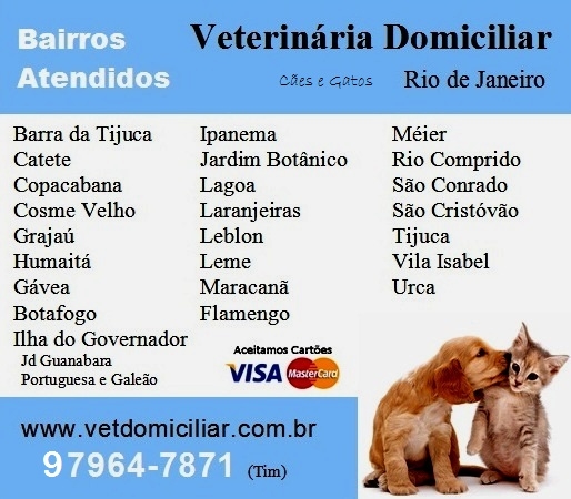 Dra. Michelle Gandra, Veterinria domiciliar no Rio de Janeiro - tel 97964-7871 (whatsap)