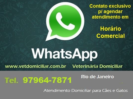 Veterinária Domiciliar para Cães e Gatos - Rio de Janeiro (21) 97964-7871 ou 99319-8338