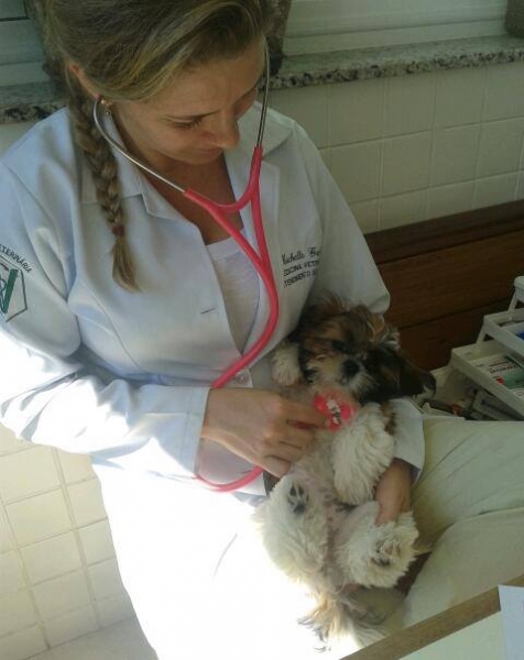 Dra. Michelle Gandra, Veterinária domiciliar no Rio de Janeiro - tel 97964-7871 (whatsap)
