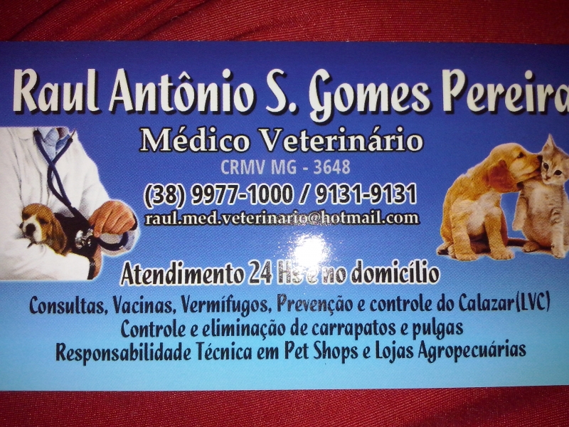 Atendimento Veterinário 24 Hs e no domicílio