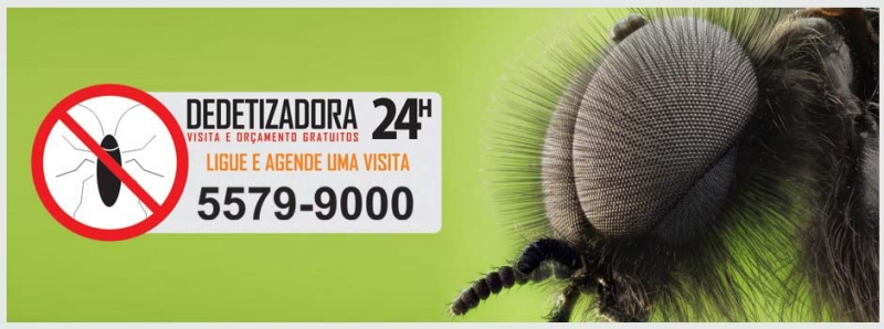 Dedetização de mosquitos do fungo, mutucas, moscas de praia, moscas domésticas, mosquito da dengue.