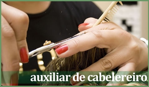 Auxiliar de Cabelereiro