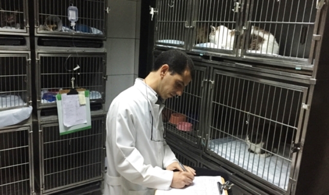 Planto Veterinrio Hospital