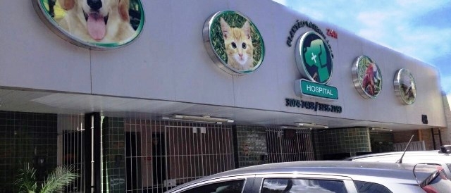 Planto Veterinrio Hospital