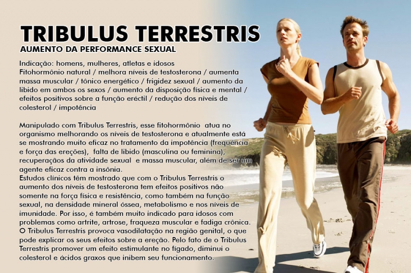 Tribulus terrestris para ereção- Natuforce