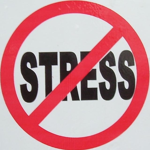 STRESS : conhecer para enfrentar