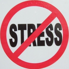 Stress : conhecer para enfrentar