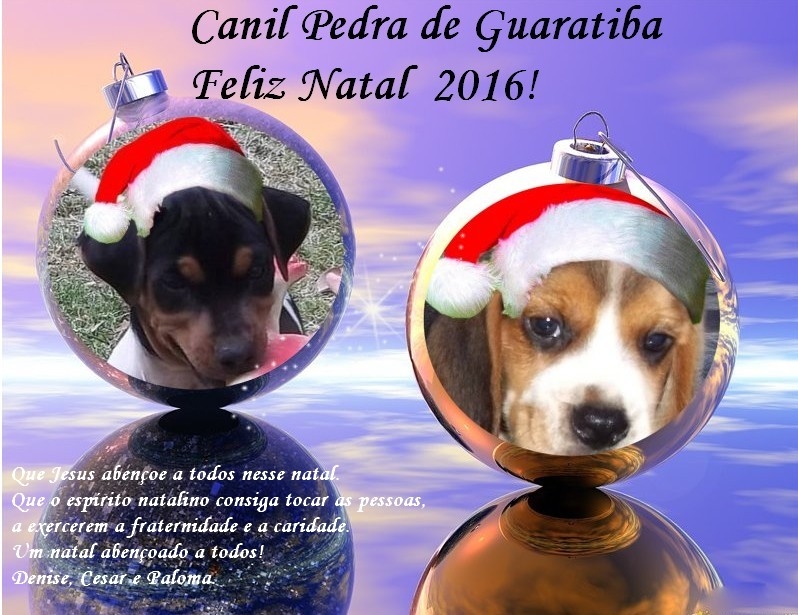 Feliz Natal e um próspero Ano Novo!