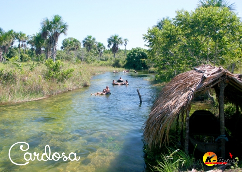 Passeio de bóia (Cardosa)