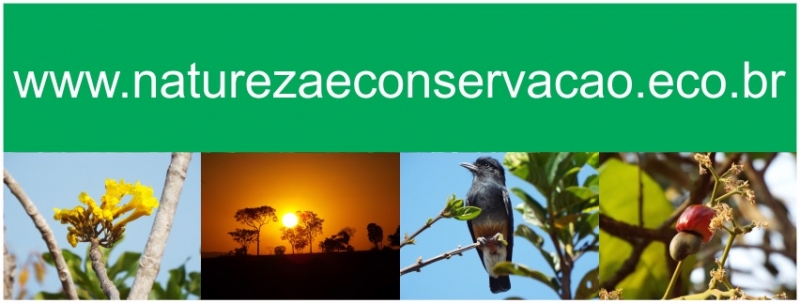 Blog Natureza e Conservação, animais, meio ambiente e preservação da natureza