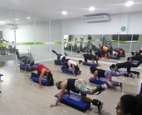 Academia FisioForma Premium