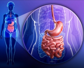 Dra. Richaeny Gastro e Endoscopia Digestiva Vitória - ES