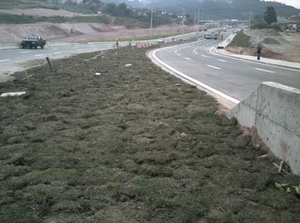 Plantios Realizados - Jacu-Sul - Rodo-Anel