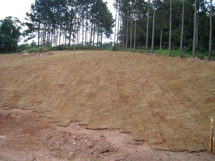 Plantios Realizados - Fazenda São Roque Fase I