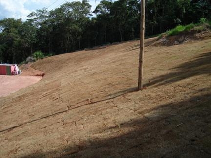 Plantios Realizados - Fazenda São Roque Fase II