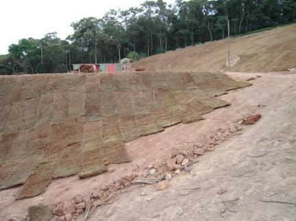 Plantios Realizados - Fazenda So Roque Fase II