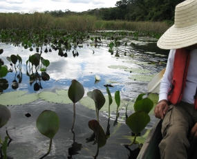 Volta ao Parque Ecoturismo