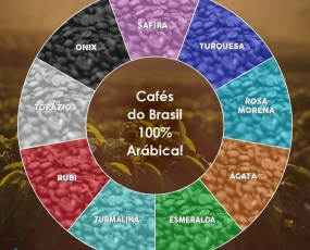 Atlantica Coffee - Exportação de Grãos de Café Verde tipo Arábica do Brasil