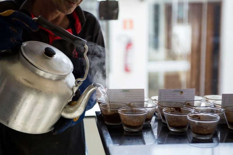 Venda de café arábica