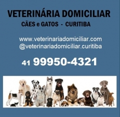 Dra. michelle gandra, veterinária domiciliar em curitiba - tel  41 99950-4321(whatsap) - @veterinariadomiciliar.curitiba - www.veterinariadomiciliar.com