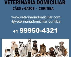 Veterinária Dermatologista em Domicílio - Curitiba - (41) 999504321