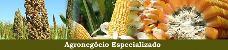 Agronegcio Especializado