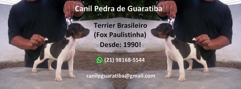 Canil Pedra de Guaratiba Filhotes disponíveis! WhatsApp: (21) 98168-5544. E-mail: canilpguaratiba@gmail.com  Site: http://www.canilpguaratiba.com