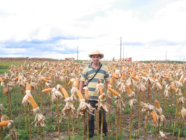 AGROCULTURAS - FOTOS