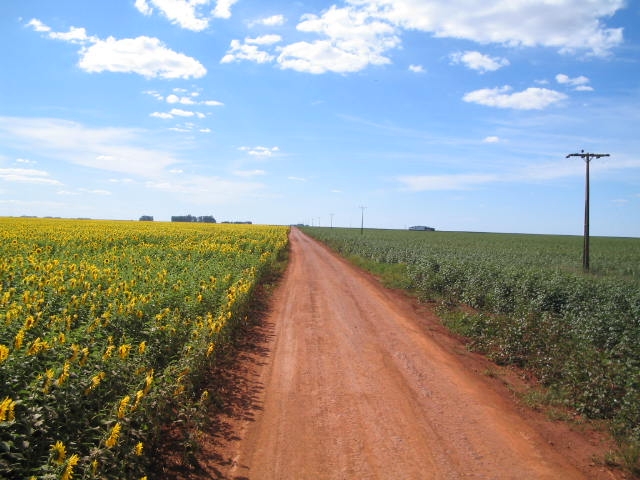 AGROCULTURAS - FOTOS