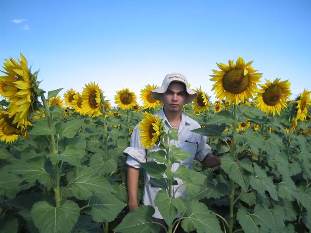 AGROCULTURAS - FOTOS