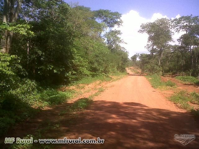  	 Fazenda com Georreferenciamento e CCIR em Morro Cabea no Tempo - PI com 1500 hectares (Cd. 64920)