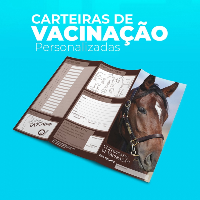 Carteiras de vacinação PET