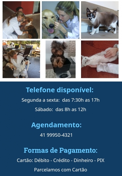 Atendimento Veterinário em domicílio. Cães e gatos . Curitiba. 41 99950-4321 - Michelle Gandra - www.veterinariadomiciliar.com