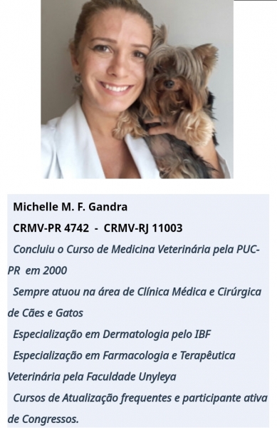Atendimento Veterinário em domicílio. Cães e gatos . Curitiba. 41 99950-4321 - Michelle Gandra - www.veterinariadomiciliar.com