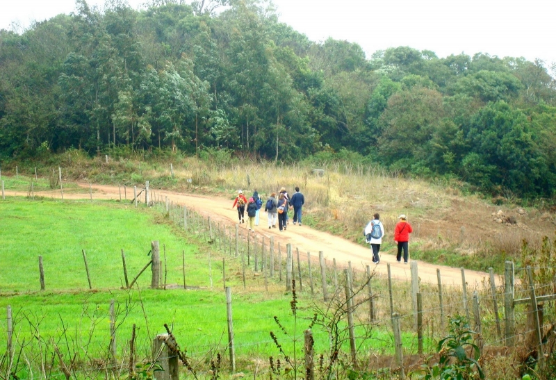 Algumas Excursões Realizadas