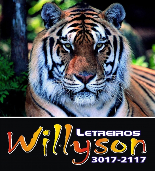 willyson letreiros