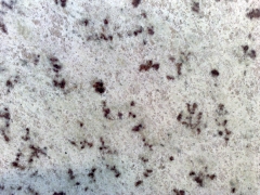 Granito branco everest